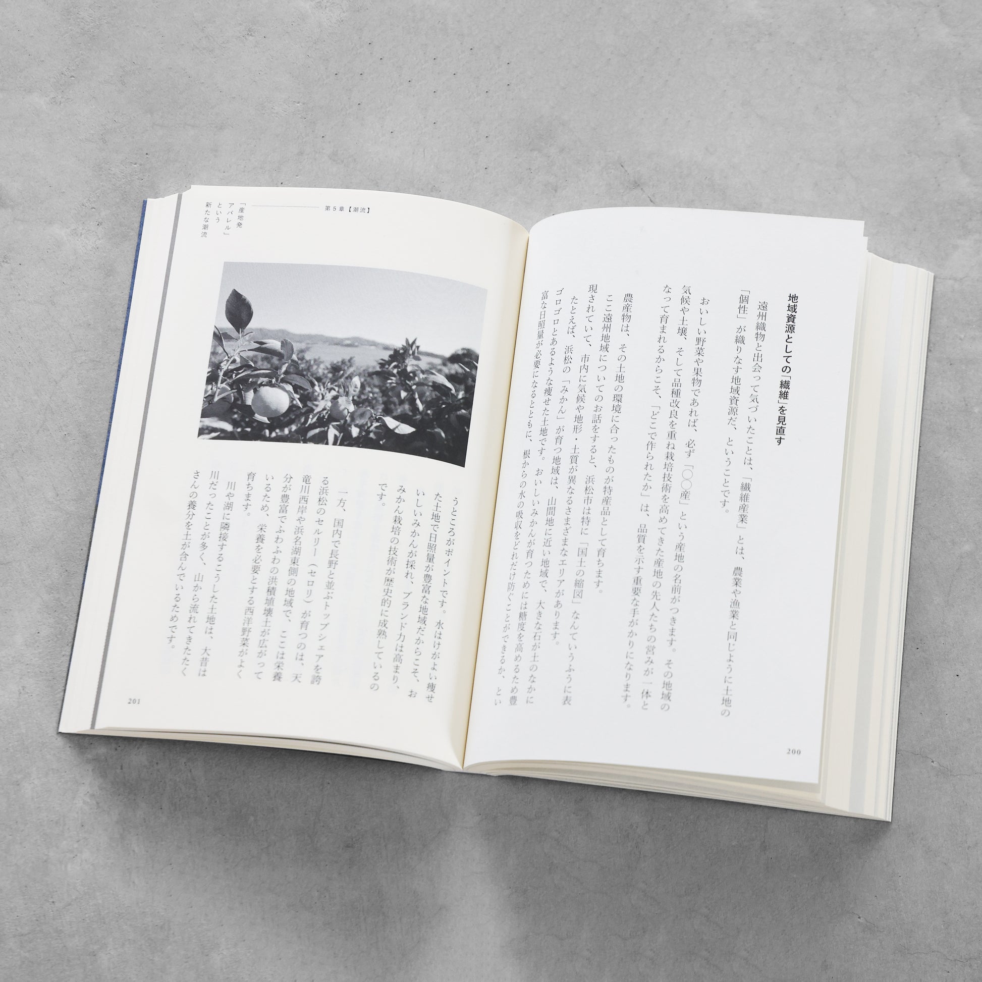 書籍「産地発アパレルという選択」（講談社）
